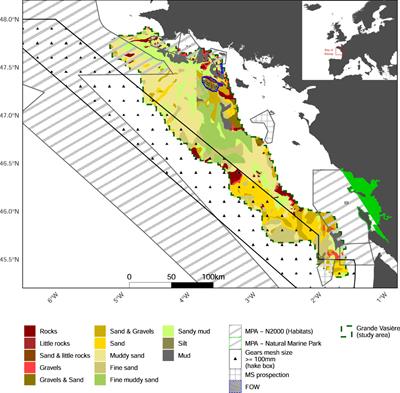 Mapping marine ecosystem services in a multifunctional seascape: the case of Grande Vasière (Bay of Biscay)